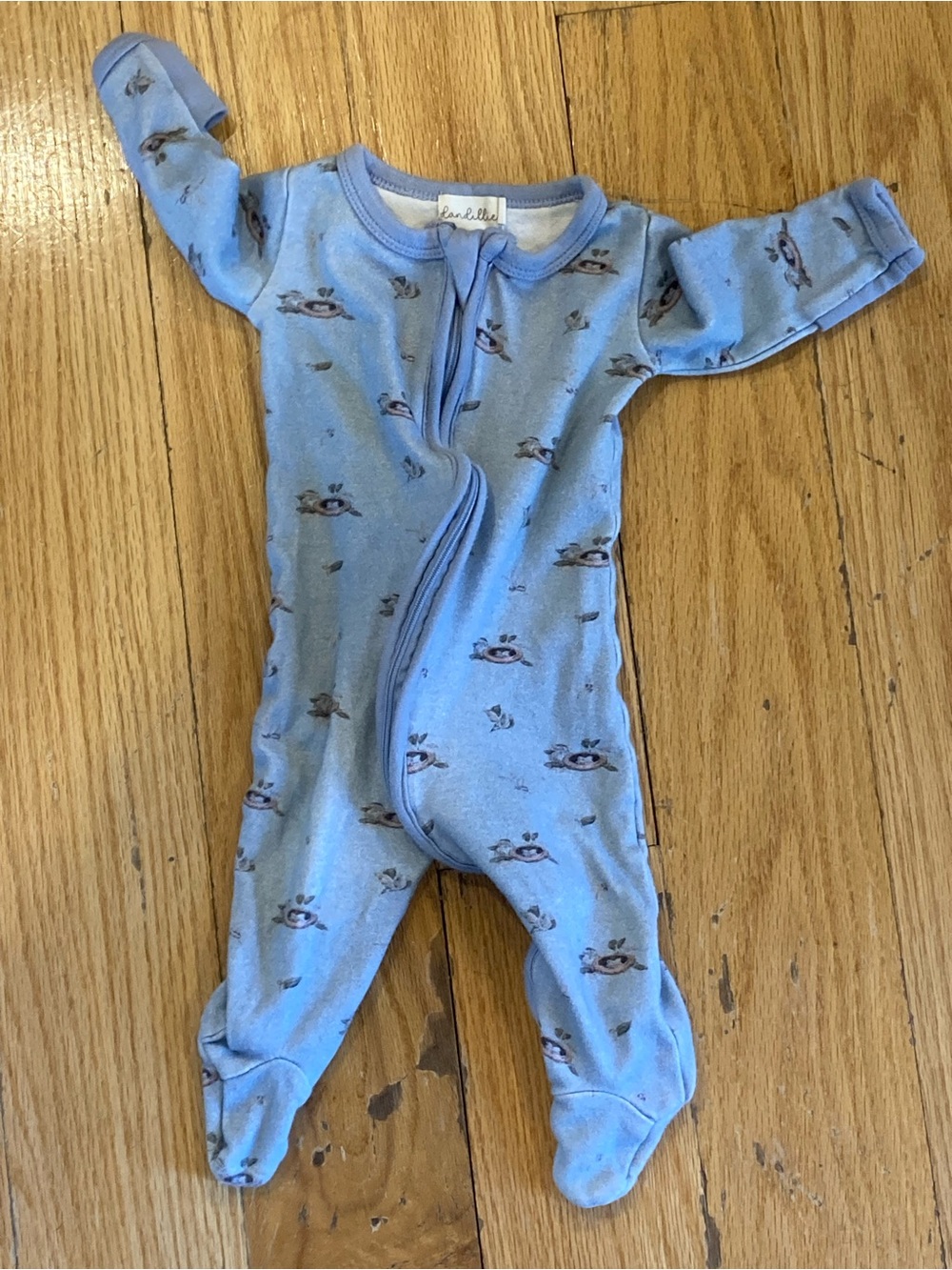 Dandiliie baby bodysuit Light Blue bird Print Footed One-Piece